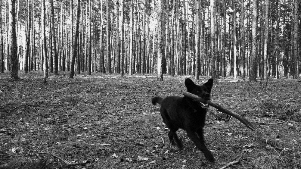 Photograph by Александр Бычков