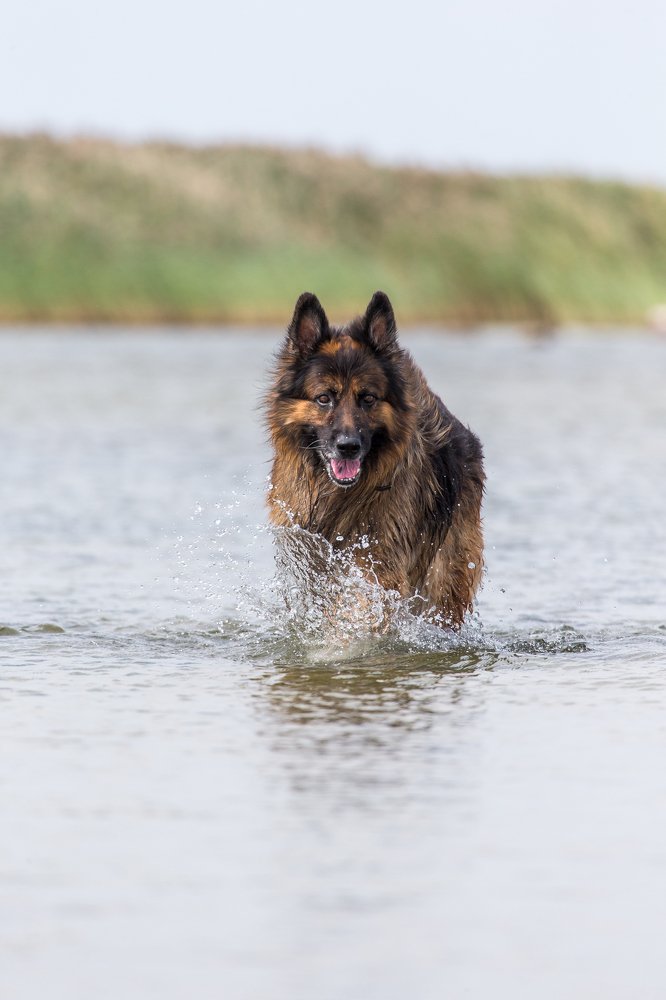 Photograph by Igor Tseskidov
