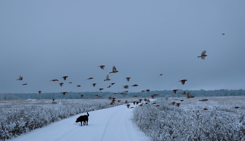 Photograph by Александр Бычков