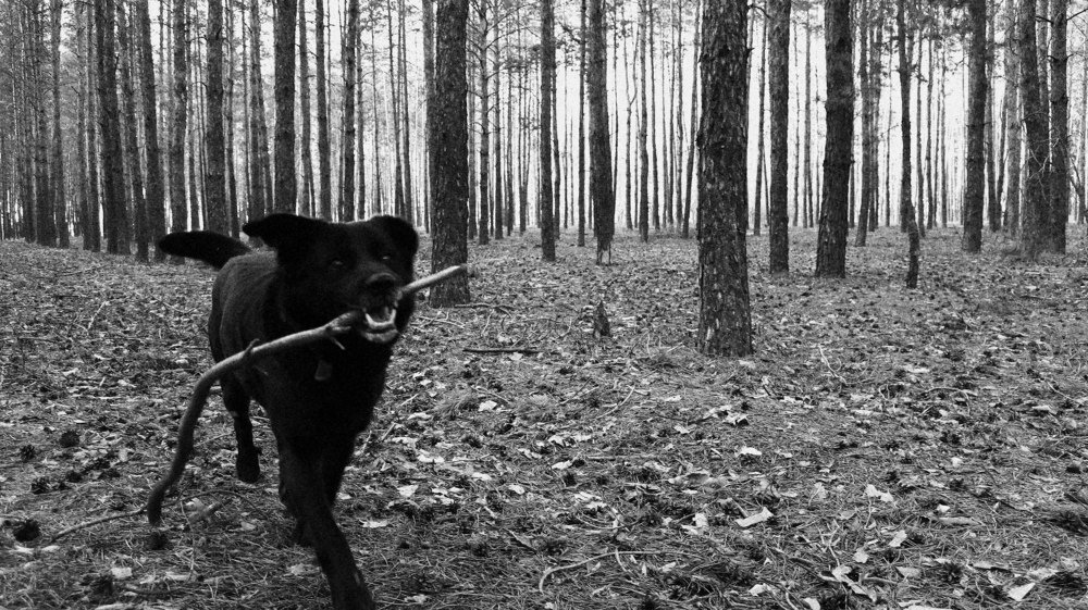 Photograph by Александр Бычков