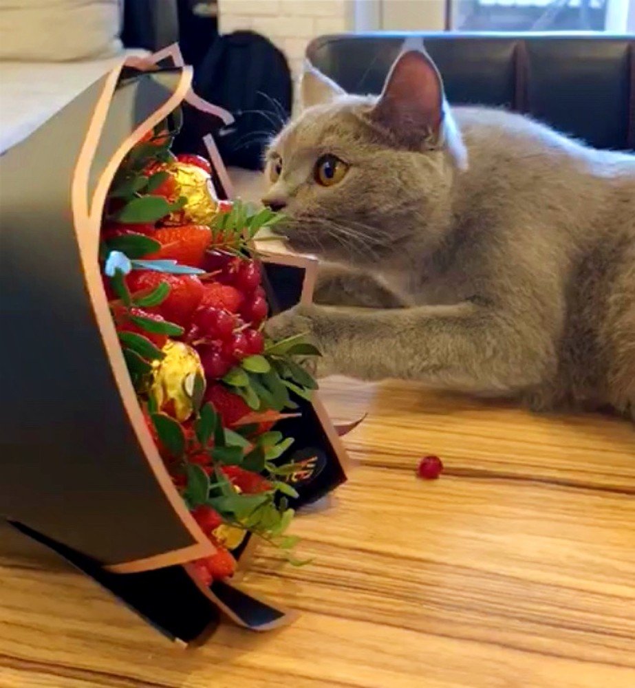 Photograph by Канаева Салиха