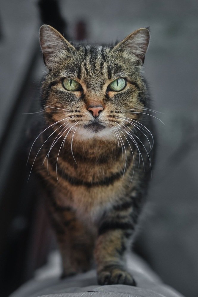 Photograph by Илья Кузнецов