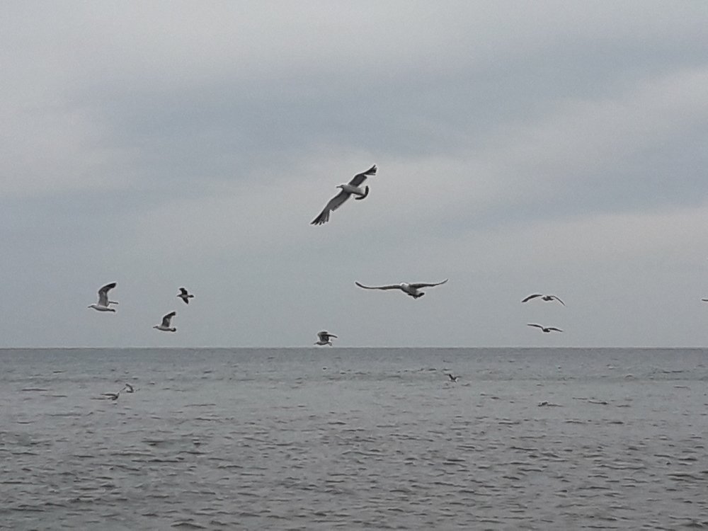 Photograph by  Людмила