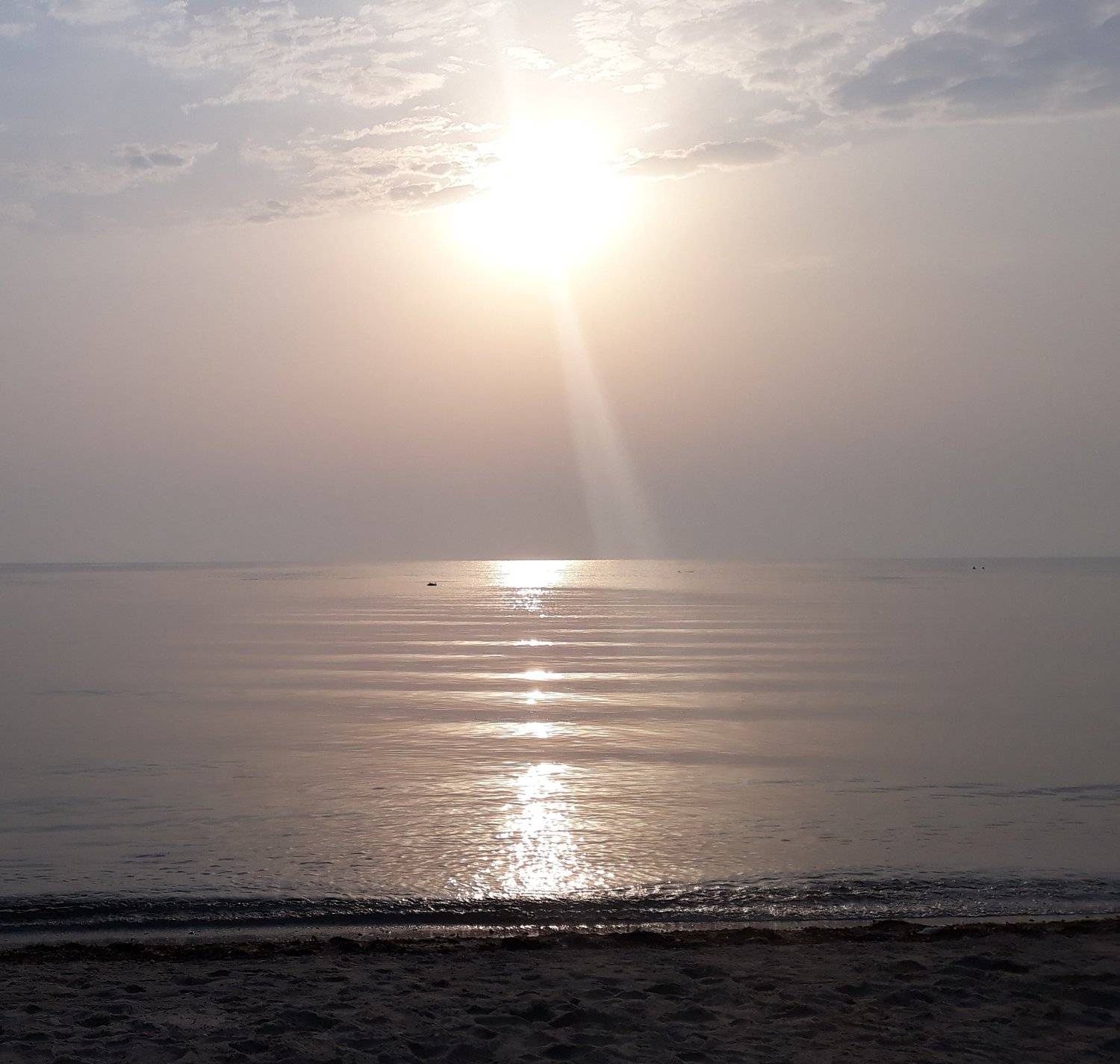 Photo #4969640