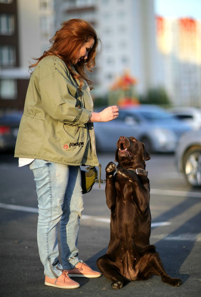СТЕЛЛА ФИДЕЛИС ЭЛЕГИЯ и Елена