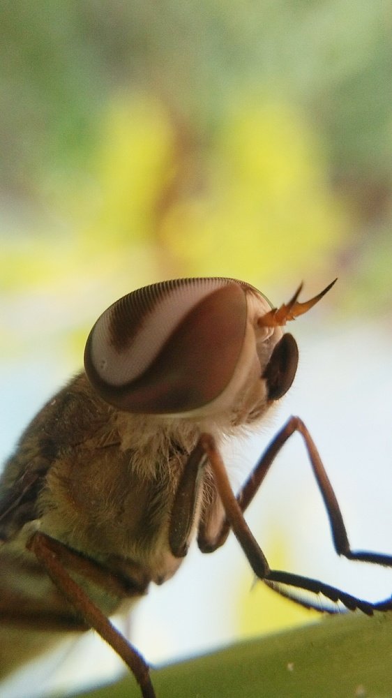 Photograph by Sai Krishna