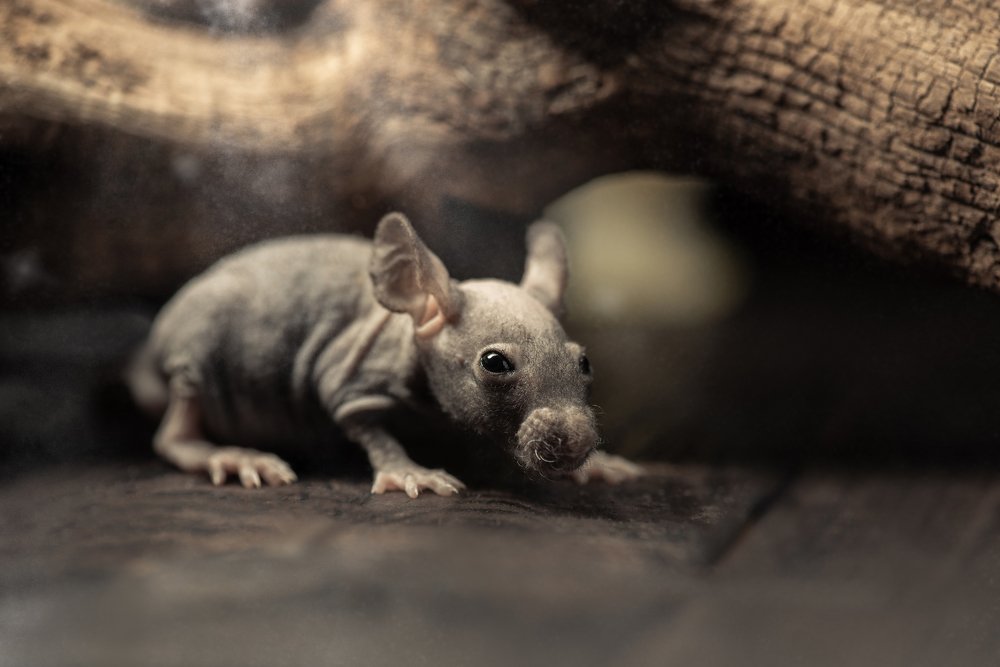 Photograph by Алексей Карпинчик