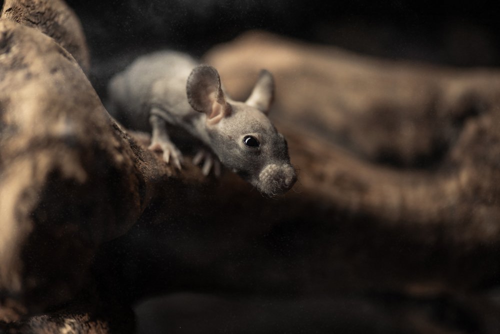 Photograph by Алексей Карпинчик