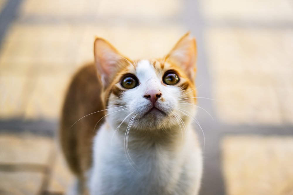 Photograph by Алексей Карпинчик