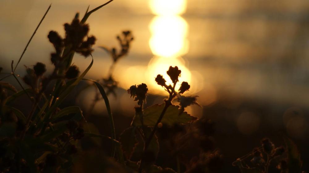 Photograph by Fethi Geçer