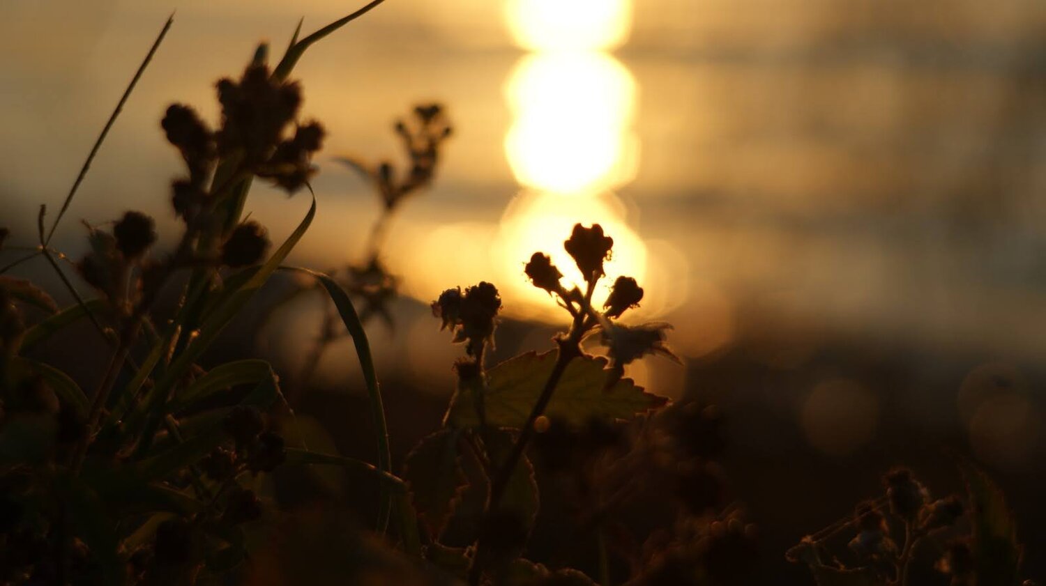 Photo #4969811