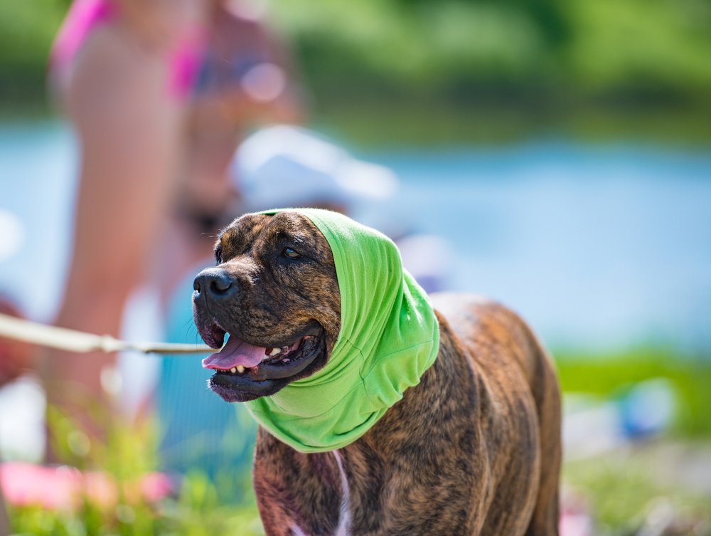 Photograph by Николаева Светлана