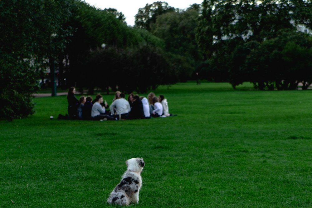 Photograph by Дмитрий Екимов