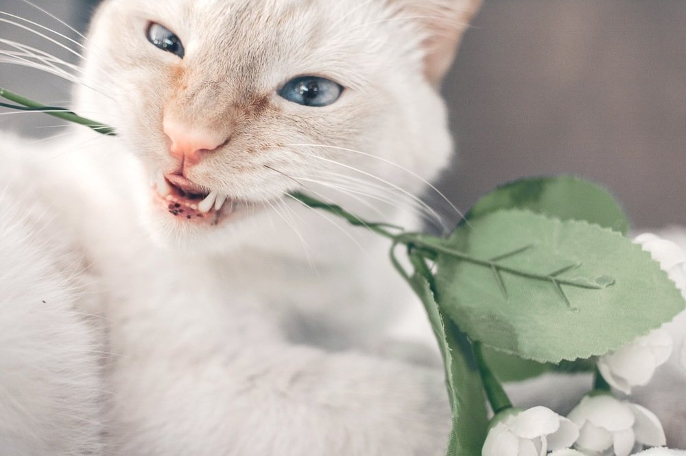 Photograph by Анна Альберт