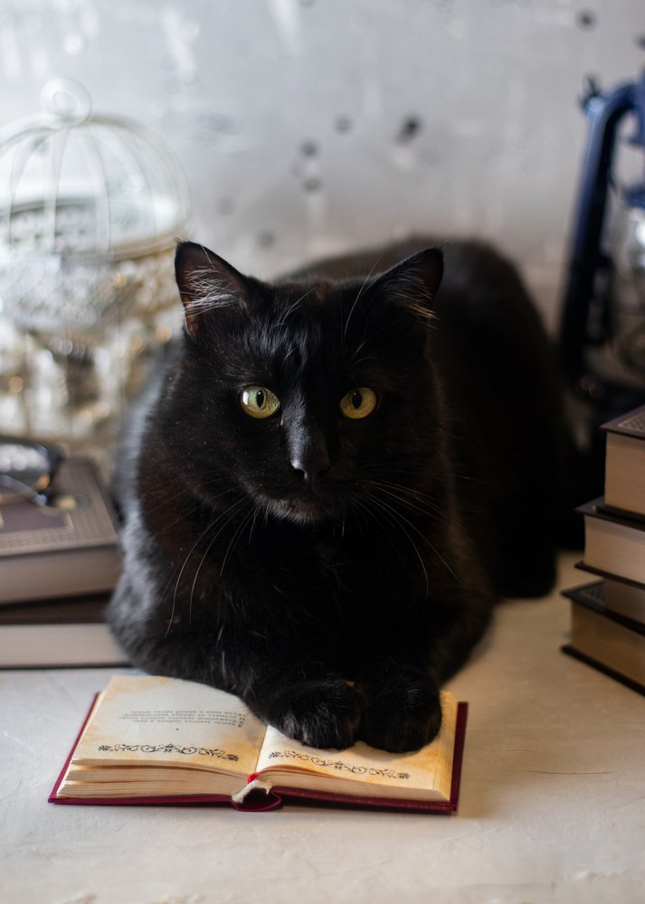 Photograph by Тараненко Анастасия