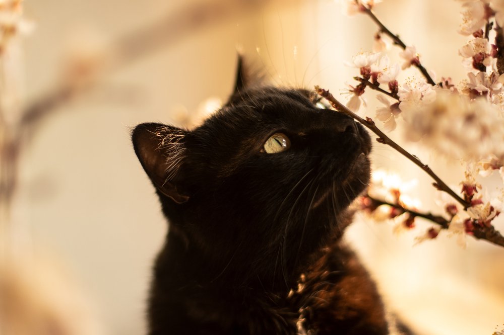 Photograph by Тараненко Анастасия