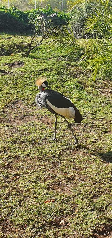 Photograph by Melissa Janse Van Rensburg