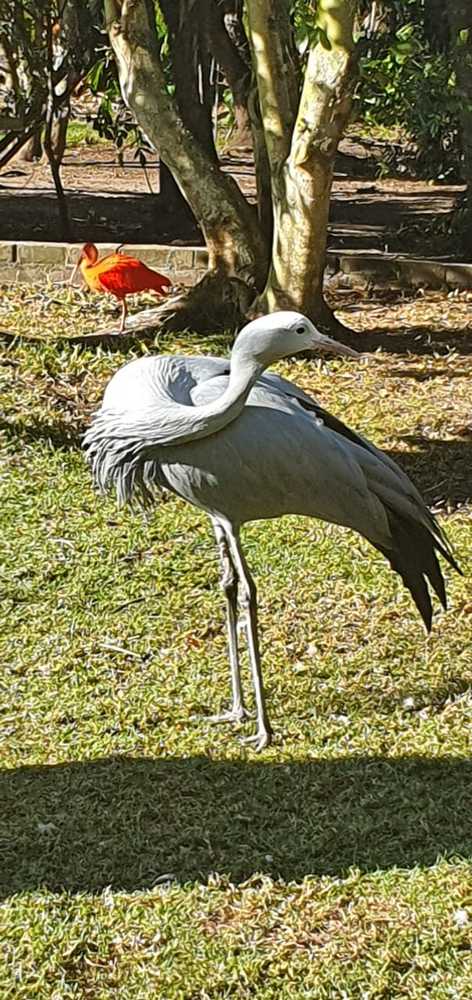 Photograph by Melissa Janse Van Rensburg