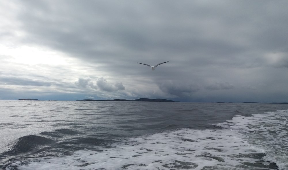 Белое море. The White Sea.