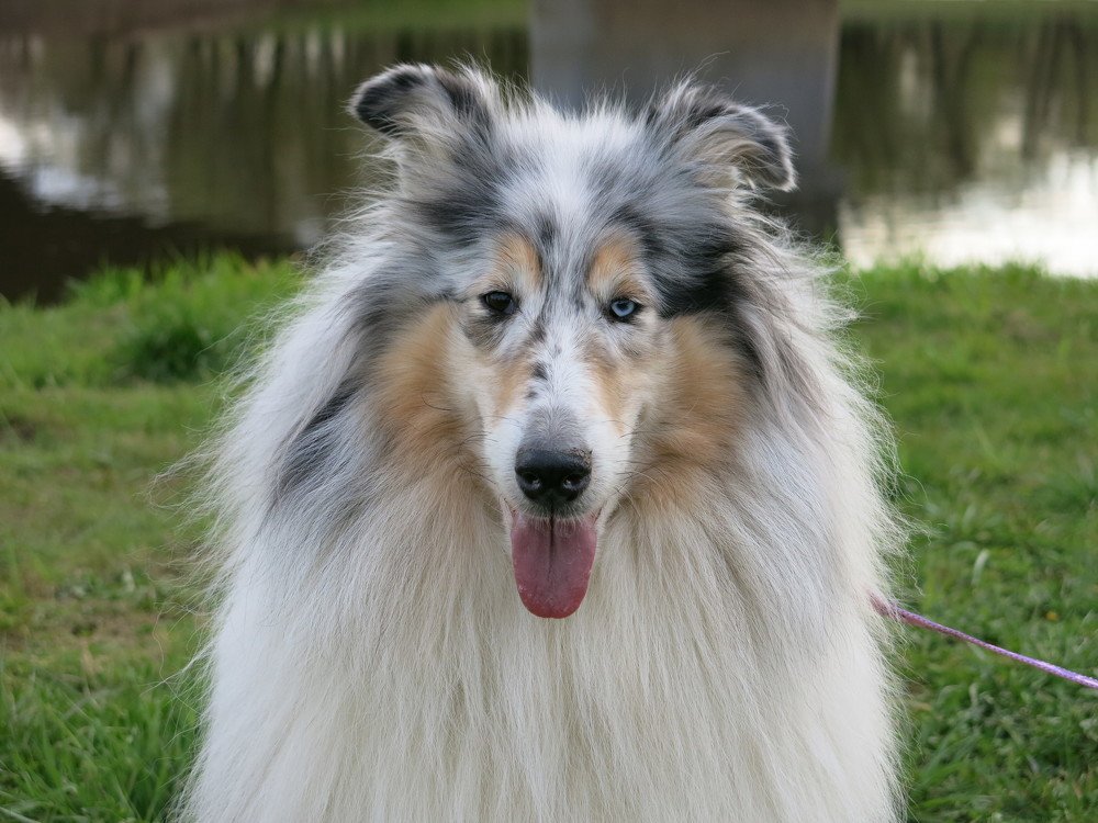 Photograph by ЭЛЬМИРА  ИСМАИЛОВА