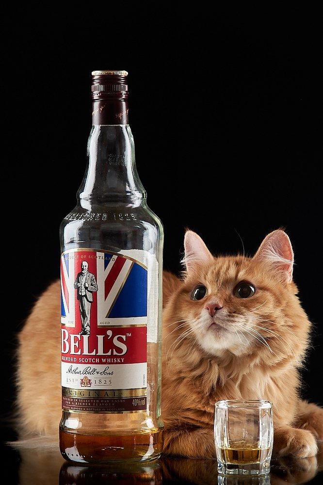 Photograph by Галина