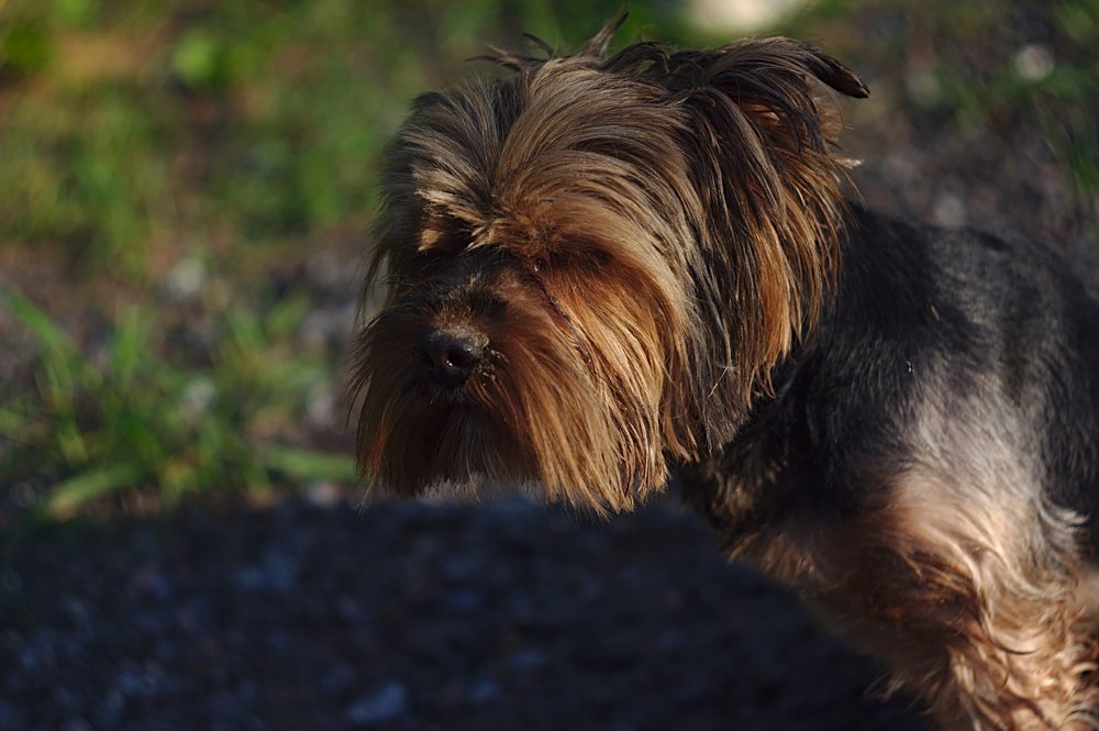 Photograph by Евгений Беленков