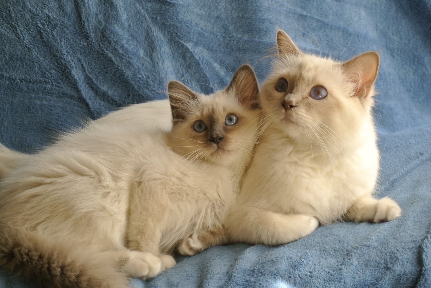 Photo #4970111