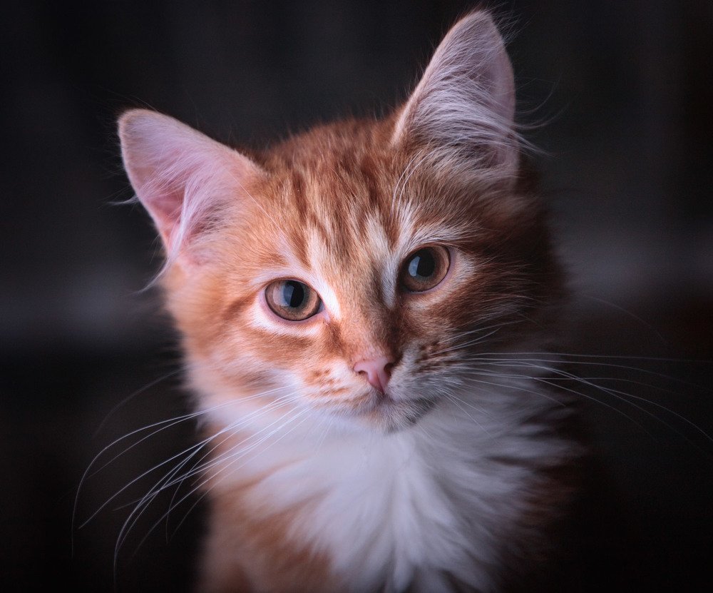 Photograph by Николай Андреев