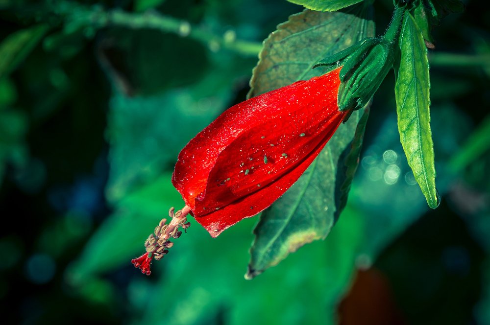 Photograph by El Haddi Yousfi