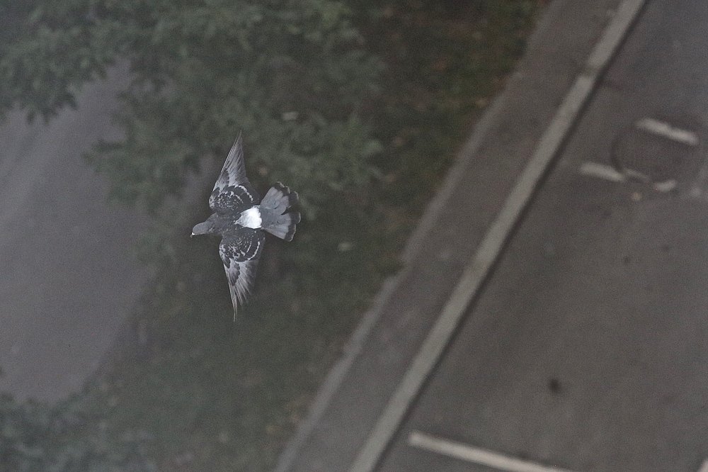 Фотография автора Наталья Васько -Черданцева