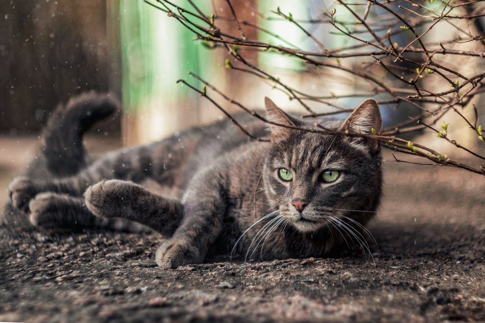 Photograph by Алексей Труханович