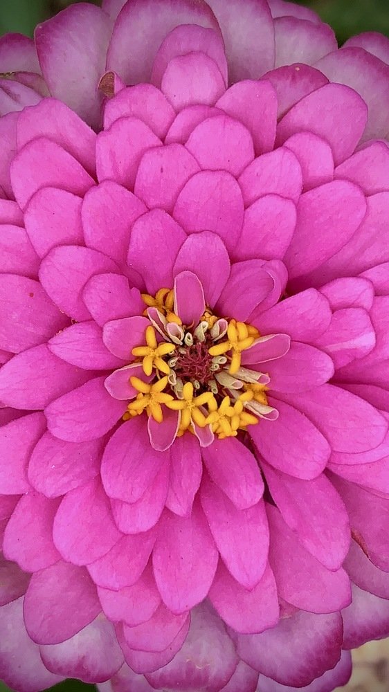 Photograph by Павел Швец