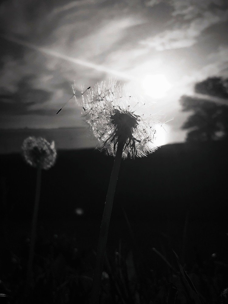 the last breath of summer