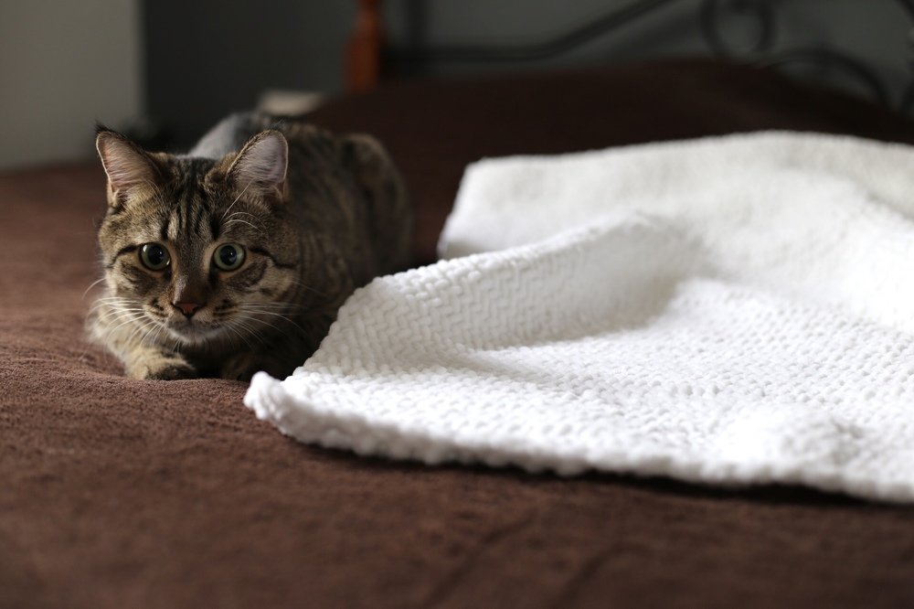 Photograph by Nadya Lerikh