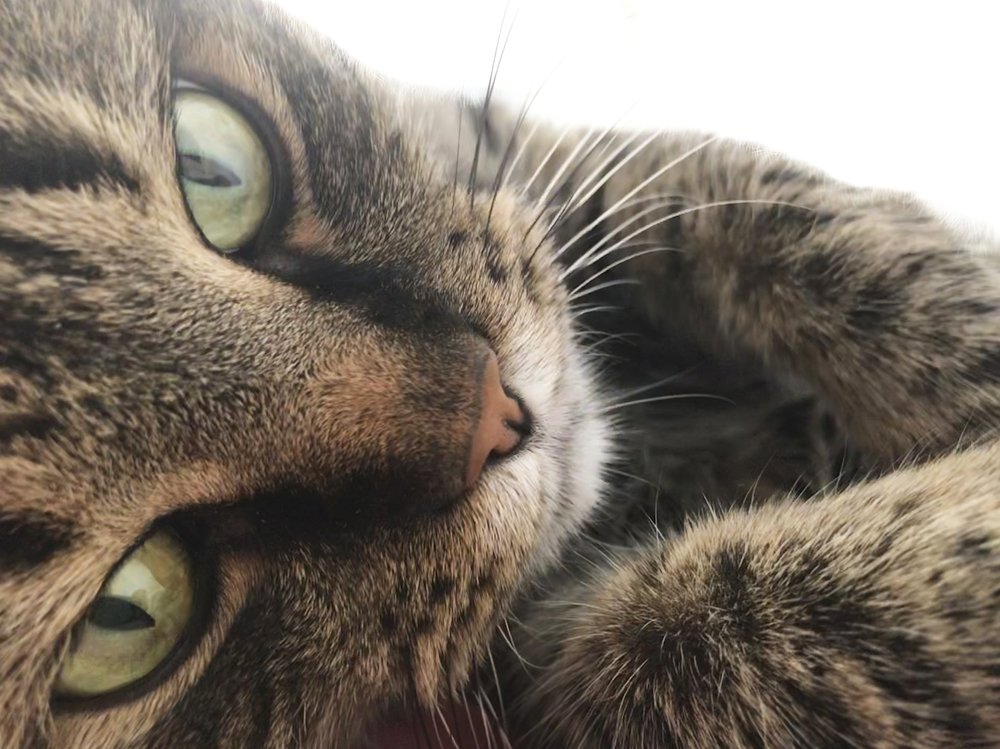 Photograph by Марина Хавронина