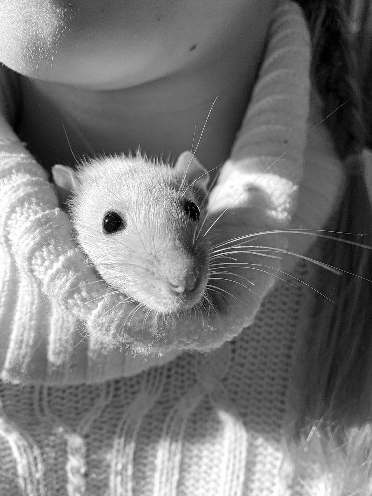 Photograph by Марина Хавронина