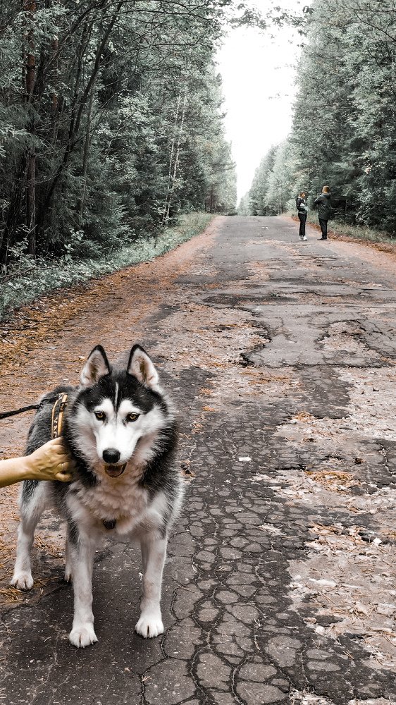 Photograph by Паша Савельев