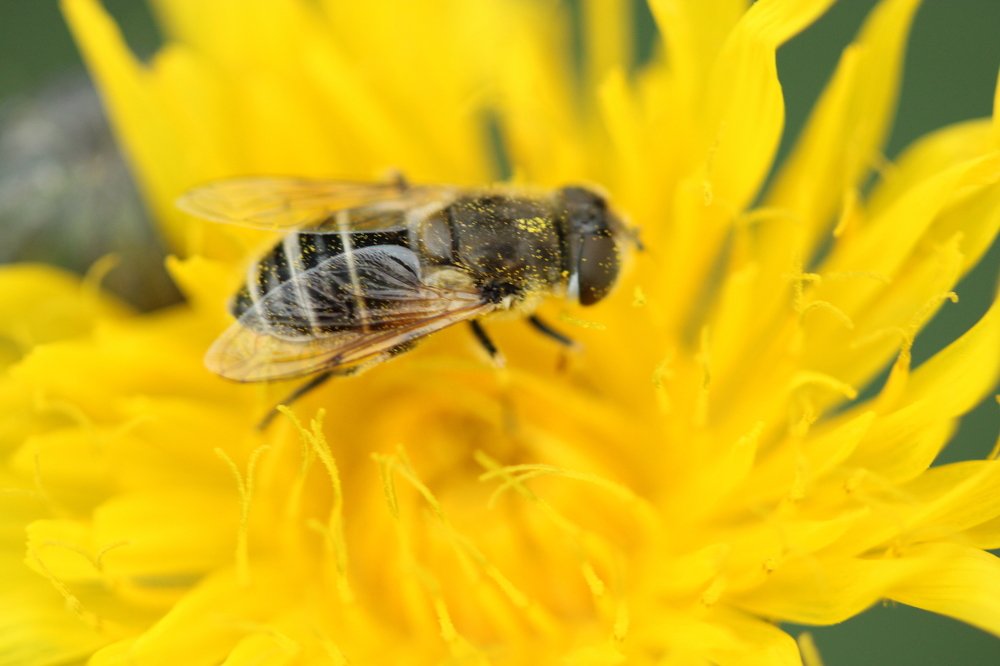 Photograph by Ирина Нурбаева