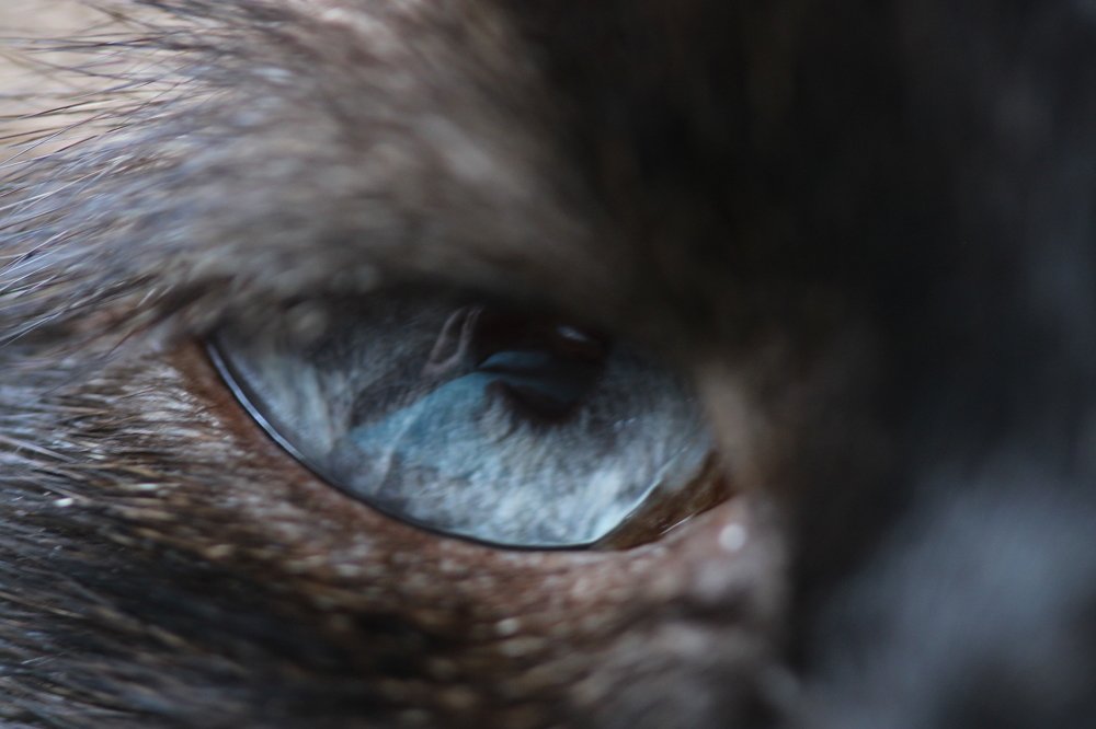 Photograph by Ирина Нурбаева