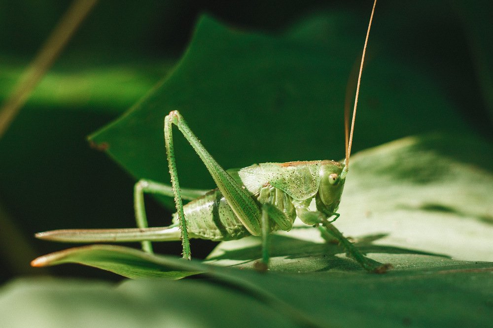 Photograph by Алена