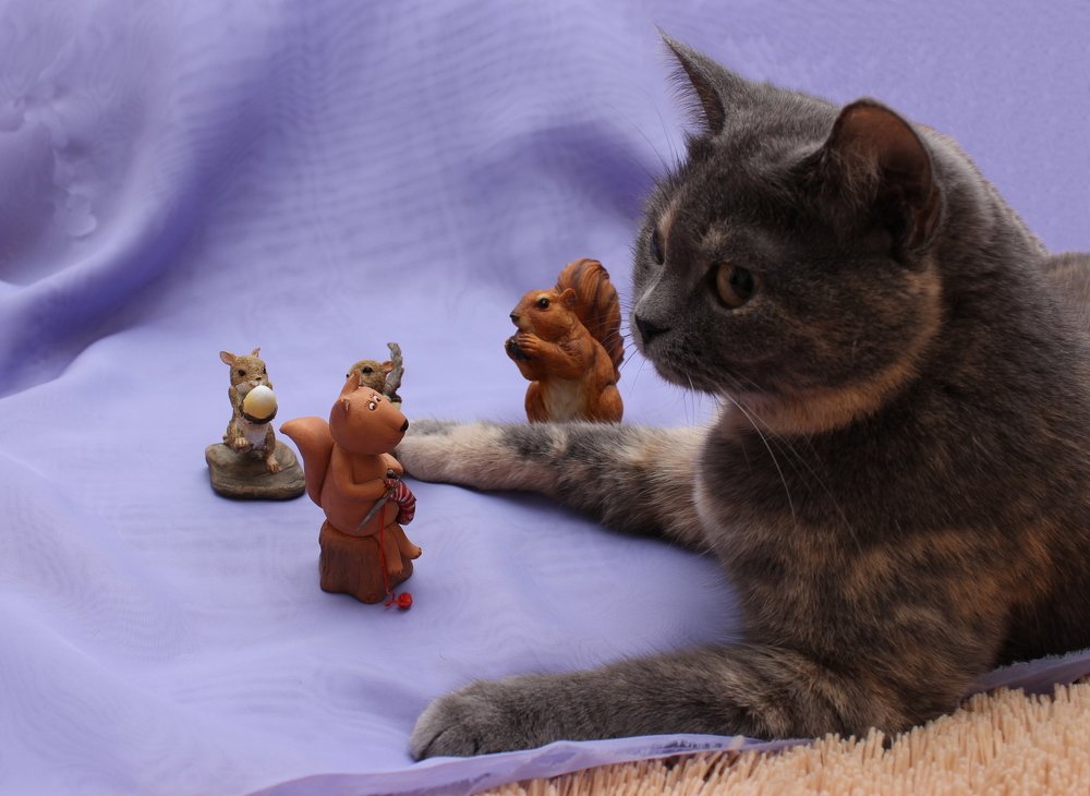 Photograph by Наталья Стальмакова