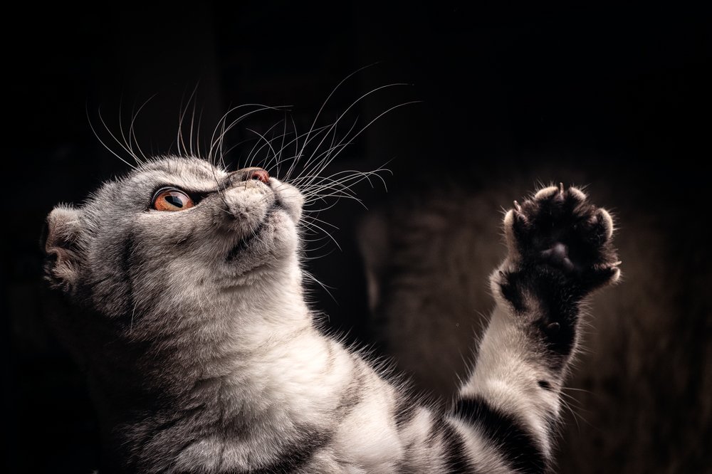 Photograph by Виталий Мытник