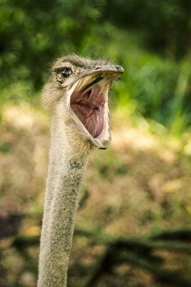 Photograph by Виталий Мытник