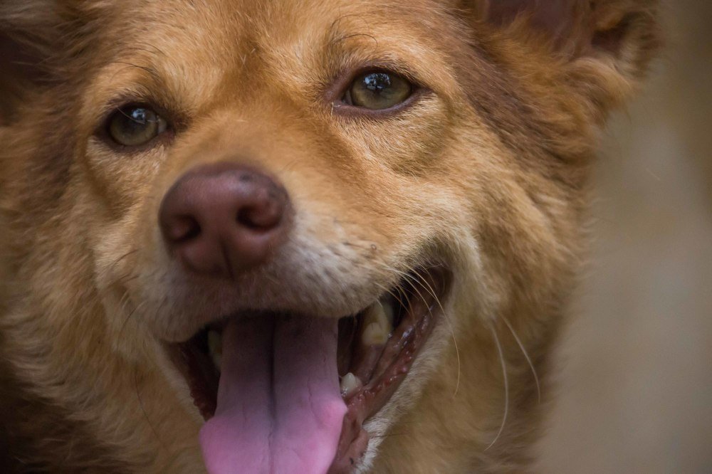 Photograph by Harisankar B