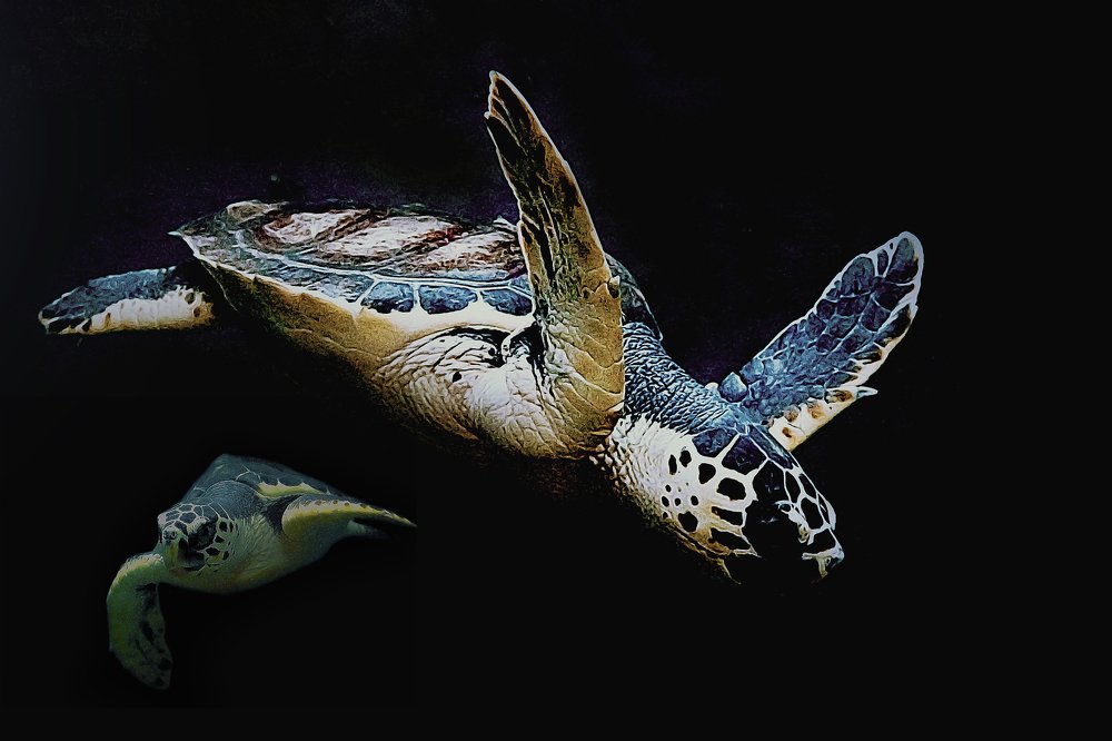 Photograph by Raed Victor Saad