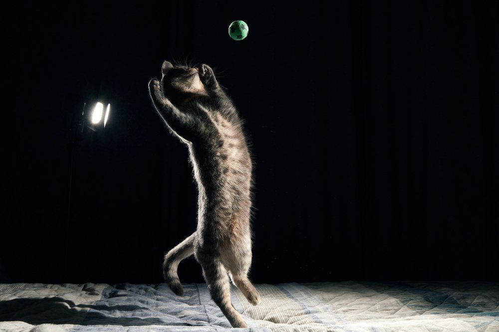 Photograph by Владимир Греков