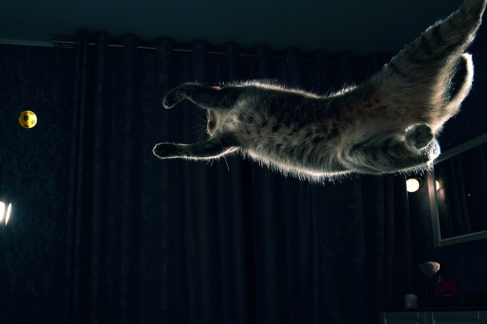 Photograph by Владимир Греков