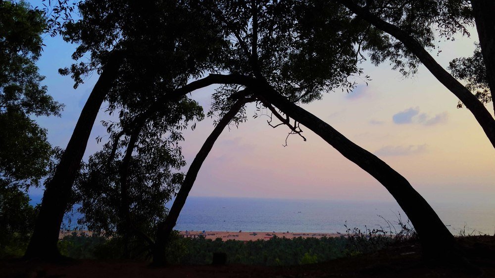 Photograph by Harisankar B