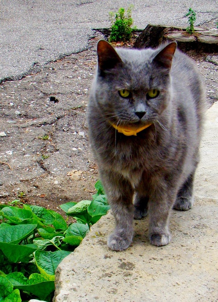 Photograph by Евгений Бригиневич - Снежин