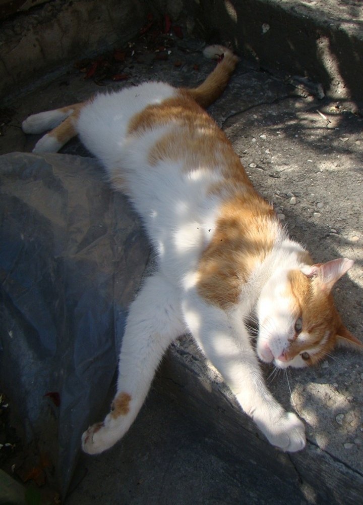 Photograph by Евгений Бригиневич - Снежин